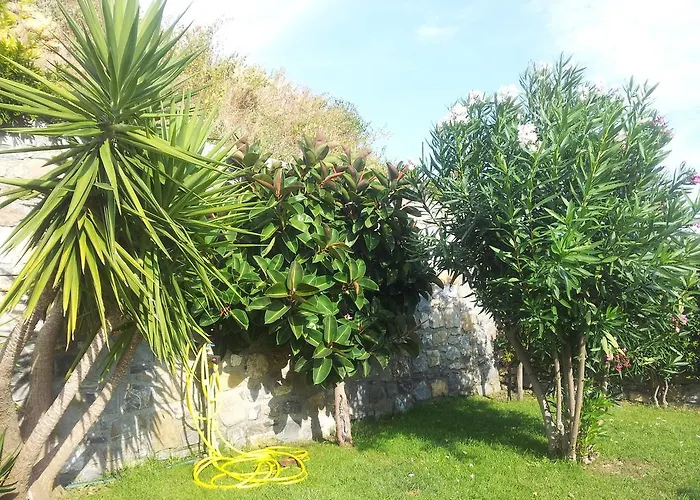 Bed & Breakfast Ariadamare 4*