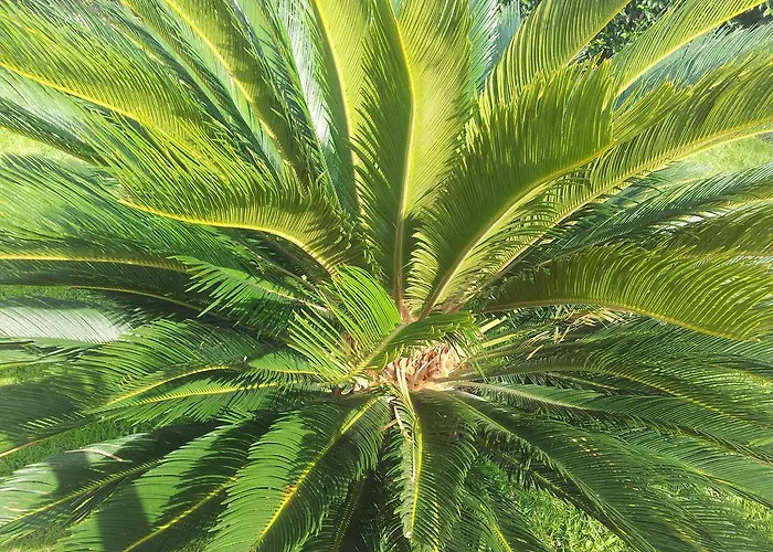 Ariadamare Bed & Breakfast Sanremo