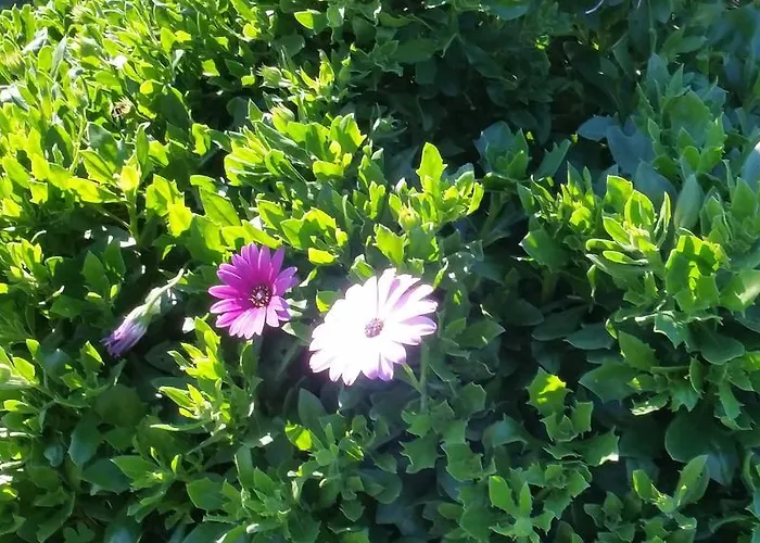 Ariadamare Bed & Breakfast